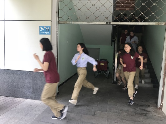 QQ图片20190517085125.jpg