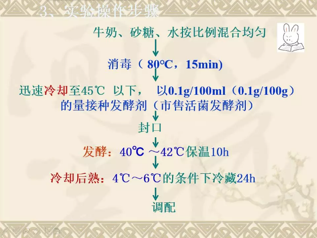11 (2).png