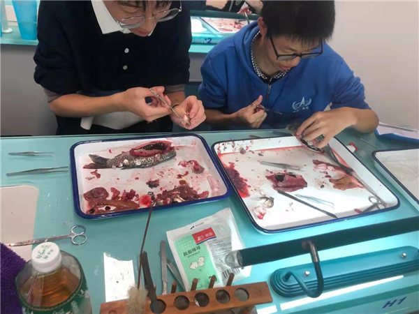 解剖7.jpg