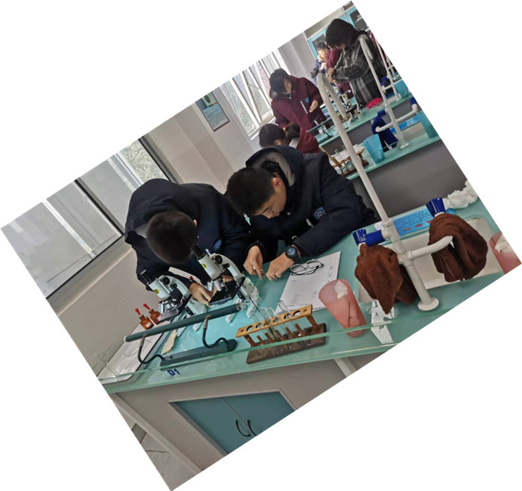 生物分组1.jpg