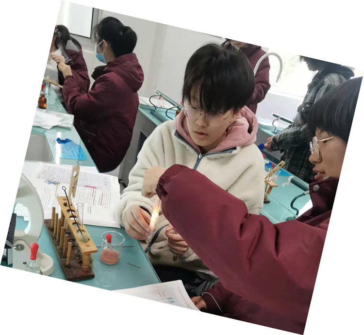 生物分组3.jpg