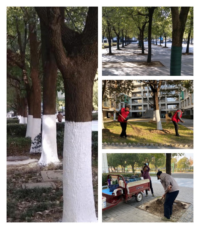 校园绿化-20220123.jpg
