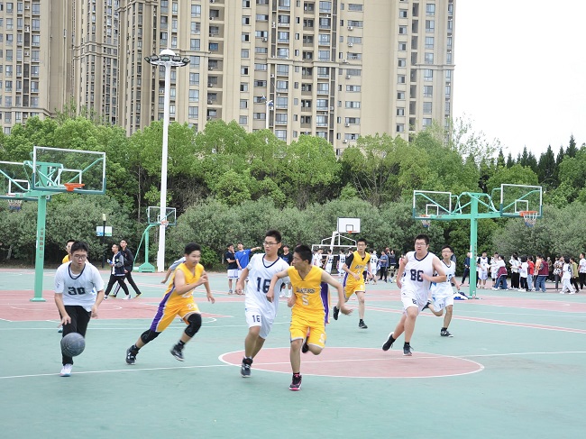 19篮球5.jpg