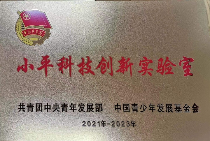 小平科技创新实验室全国示范校2021.3.jpg