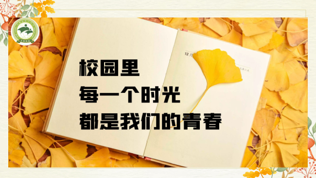图片12 (1).jpg