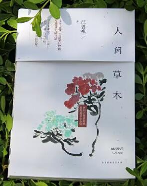 QQ截图20221205162700.jpg