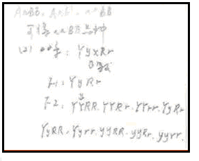 图片11.png