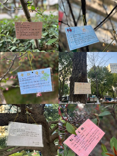 QQ图片20230310161025.jpg