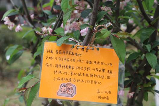 image012.jpg