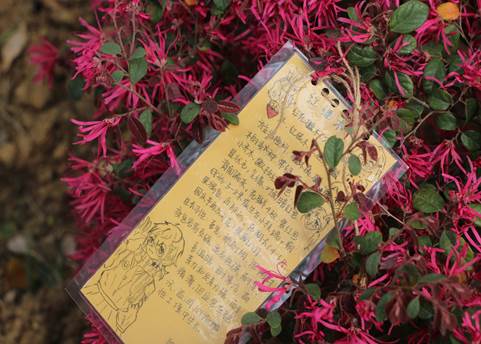 image022.jpg