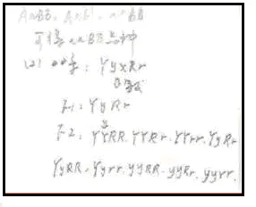mmexport1685864661905.png