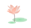 1704417584019.png
