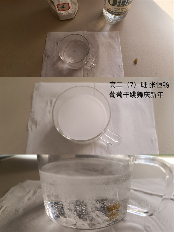 图7 高二（7）班张恒畅 葡萄干跳舞.jpg