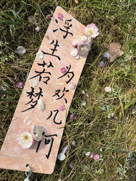 赏梅图片1.jpeg