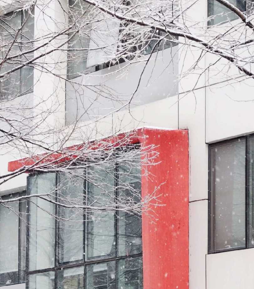 寻常一样窗前雪 才有梅花便不同